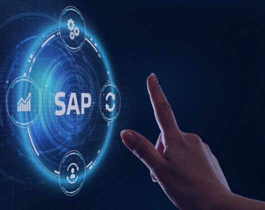 Vem aí, o Overview SAP!